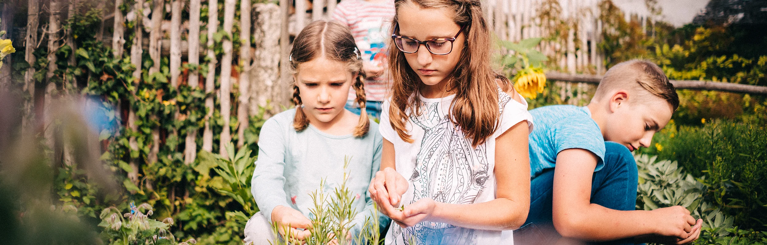 Jura-Bauernhof-Museum Hofstetten