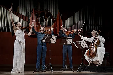 Die vier Musiker des Novo Quartetts mit ihren Instrumenten vor einer großen Orge.