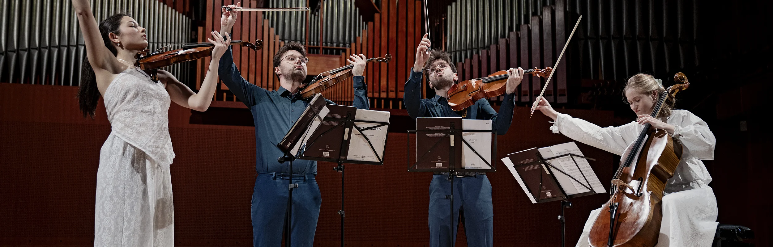 Die vier Musiker des Novo Quartetts mit ihren Instrumenten vor einer großen Orge.