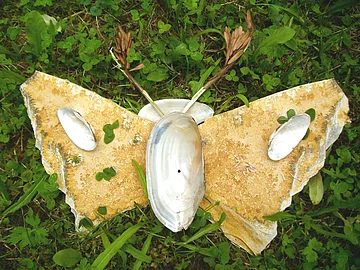 Landart Schmetterlingsform aus Muscheln und Blättern auf grünem Gras liegend.