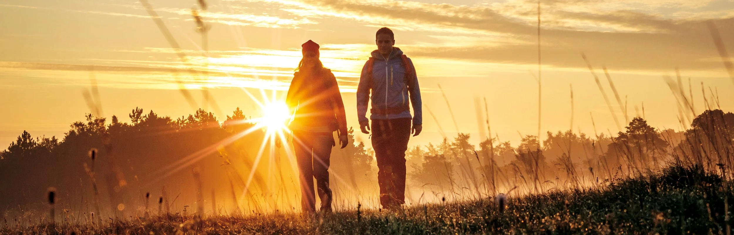 Zwei Personen gehen bei Sonnenaufgang über eine Wiese mit hohem Gras und Bäumen im Hintergrund.