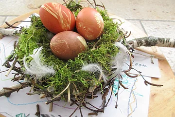Nest aus Moos, Zweigen und Federn mit drei rotbraunen Ostereiern auf Zeichnungen und Holzplatte