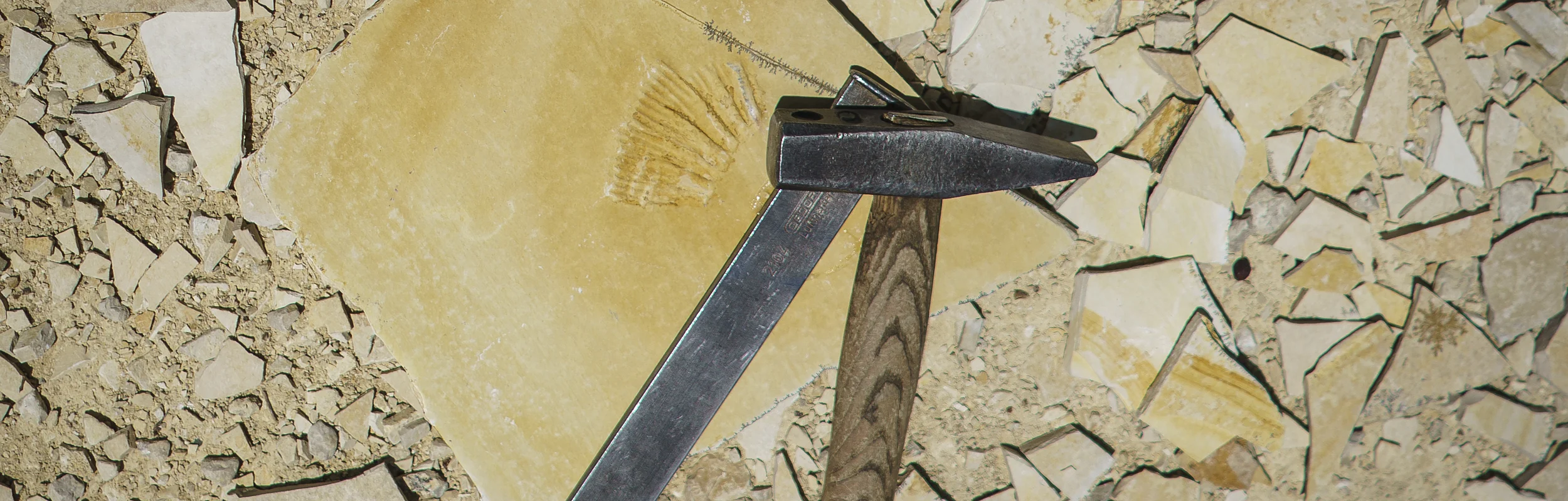 Fossiliensteinbruch am Blumenberg bei Eichstätt