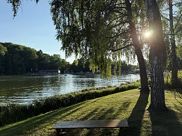 Waldsee Wemding Abendblick mit Sonneneinstrahlung am Ufer des Waldsees