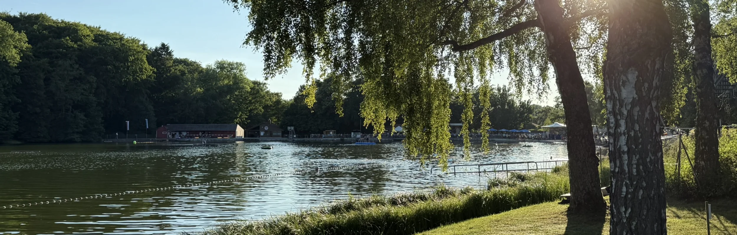 Abendblick mit Sonneneinstrahlung am Ufer des Waldsees