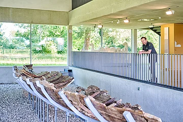 Die berühmten römischen Patrouillenboote von Oberstimm sind nur eines der Highlights im kelten römer museum