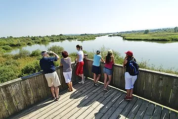 Die Besucher warten auf dem Aussichtsturm der Vogelinsel im Altmühlsee darauf, eine seltene und geschütze Vogelart entdecken zu können.