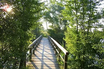 Eine Brücke auf der Vogelinsel über den Altmühlsee.