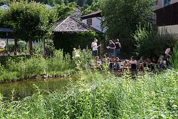 Teich Biotopgarten