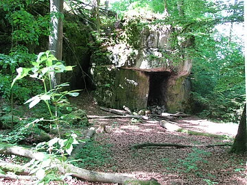 Das Zigeunerloch ist ein mächtiges, bizarres Felsgebilde mitten in einem dichten Buchenwald.